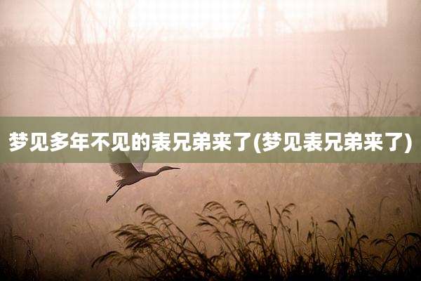 梦见多年不见的表兄弟来了(梦见表兄弟来了)