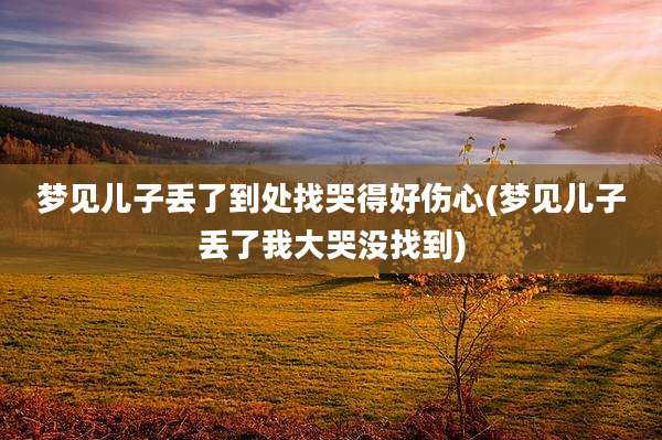 梦见儿子丢了到处找哭得好伤心(梦见儿子丢了我大哭没找到)
