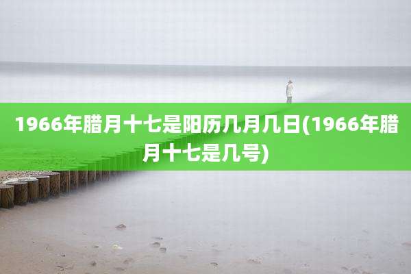 1966年腊月十七是阳历几月几日(1966年腊月十七是几号)