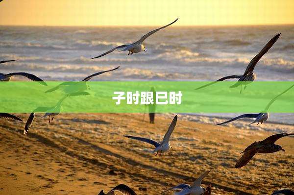 子时跟巳时