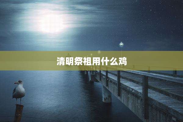 清明祭祖用什么鸡