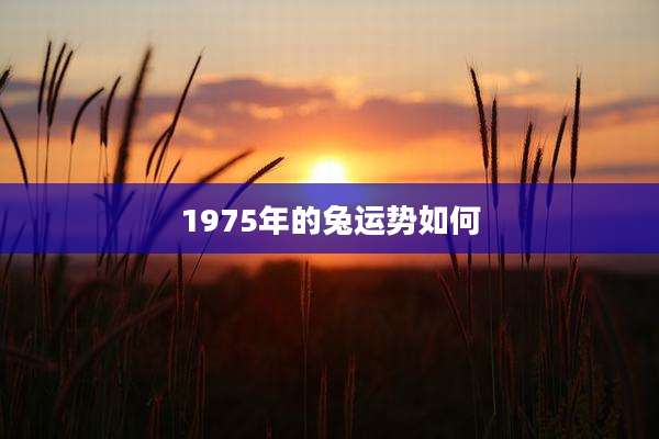 1975年的兔运势如何