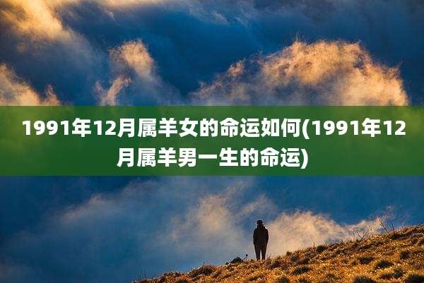 1991年12月属羊女的命运如何(1991年12月属羊男一生的命运)