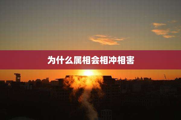 为什么属相会相冲相害