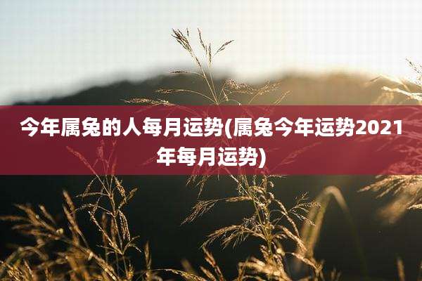 今年属兔的人每月运势(属兔今年运势2021年每月运势)