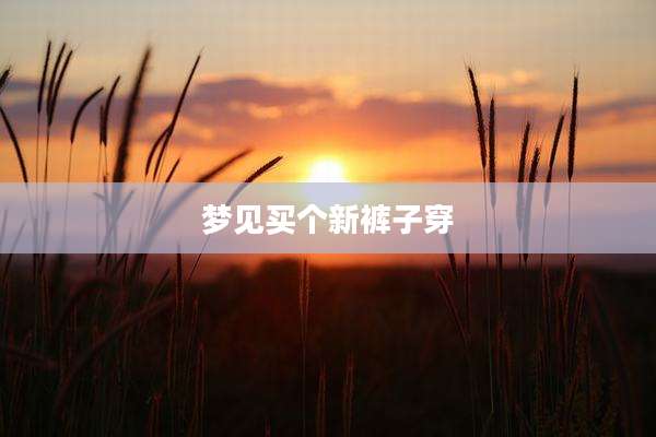 梦见买个新裤子穿