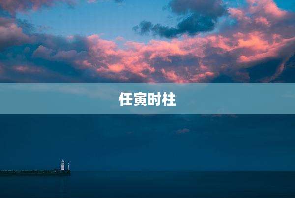 任寅时柱