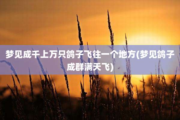 梦见成千上万只鸽子飞往一个地方(梦见鸽子成群满天飞)