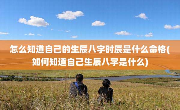 怎么知道自己的生辰八字时辰是什么命格(如何知道自己生辰八字是什么)