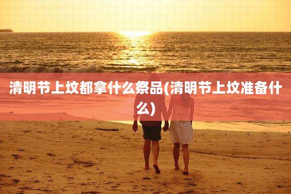 清明节上坟都拿什么祭品(清明节上坟准备什么)