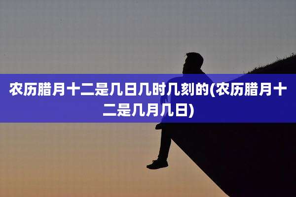 农历腊月十二是几日几时几刻的(农历腊月十二是几月几日)