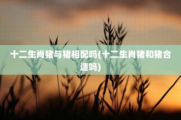 十二生肖猪与猪相配吗(十二生肖猪和猪合适吗)