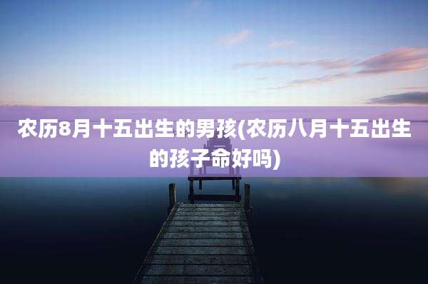 农历8月十五出生的男孩(农历八月十五出生的孩子命好吗)