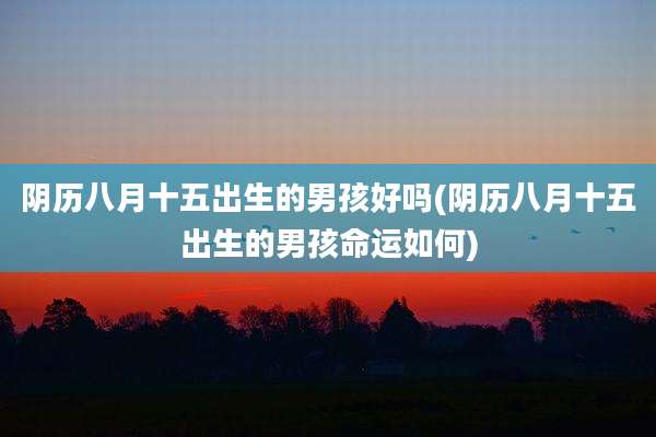 阴历八月十五出生的男孩好吗(阴历八月十五出生的男孩命运如何)