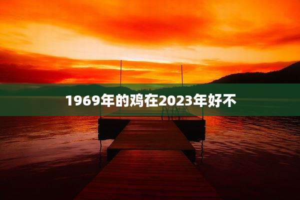 1969年的鸡在2023年好不