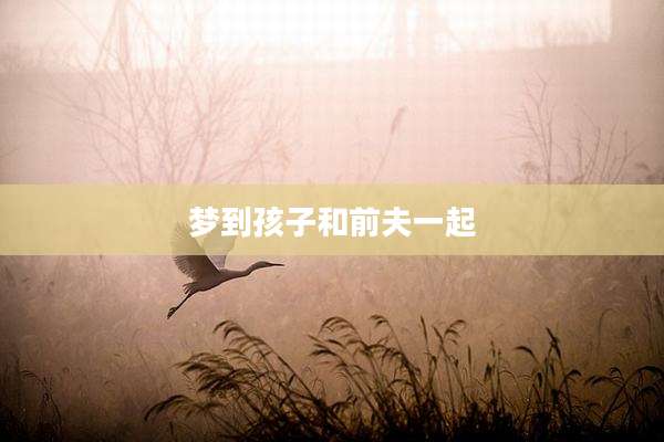梦到孩子和前夫一起