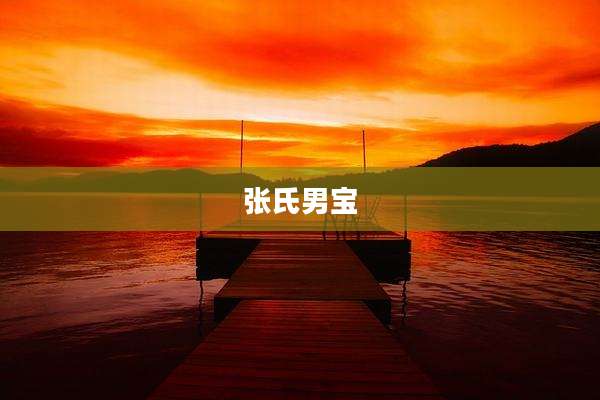 张氏男宝