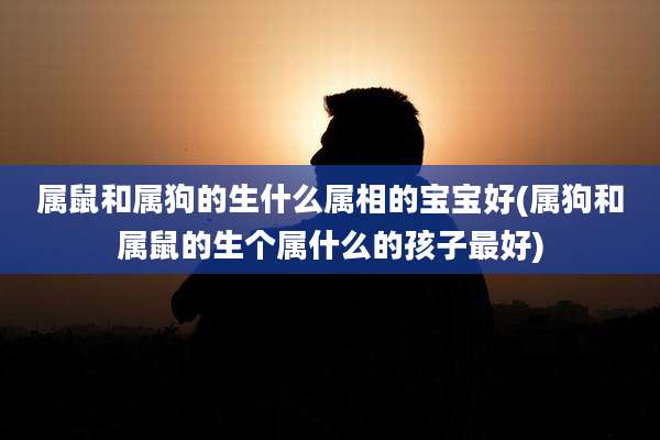 属鼠和属狗的生什么属相的宝宝好(属狗和属鼠的生个属什么的孩子最好)