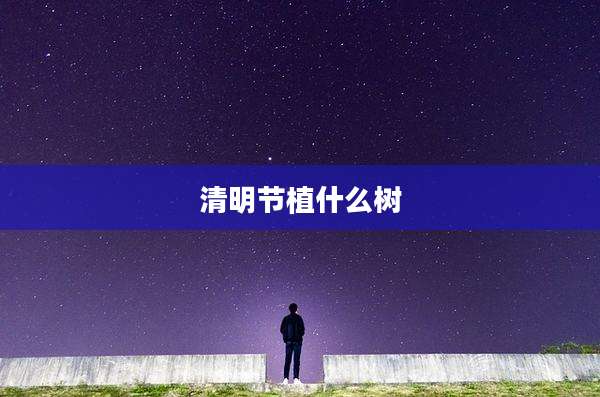 清明节植什么树