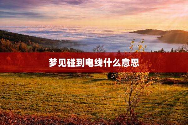 梦见碰到电线什么意思