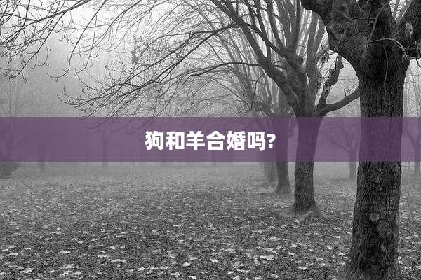 狗和羊合婚吗?