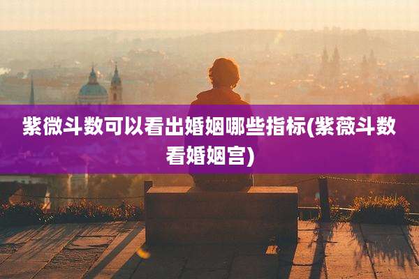 紫微斗数可以看出婚姻哪些指标(紫薇斗数看婚姻宫)