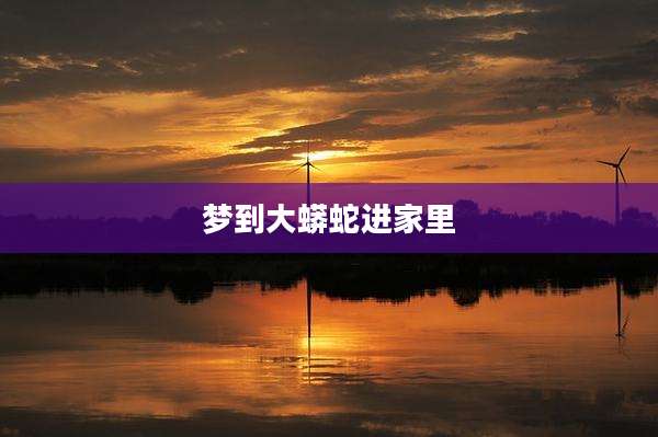梦到大蟒蛇进家里