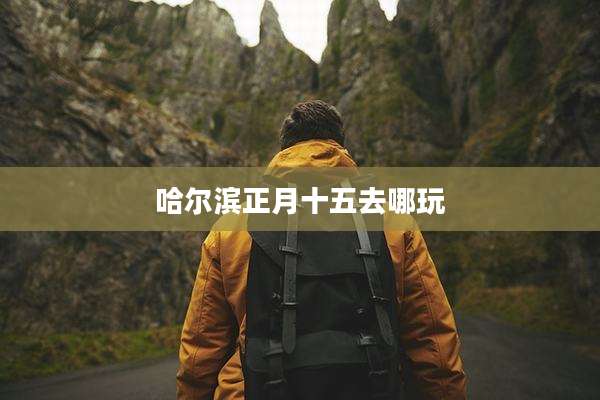 哈尔滨正月十五去哪玩