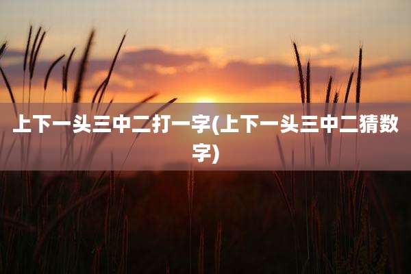 上下一头三中二打一字(上下一头三中二猜数字)