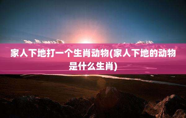 家人下地打一个生肖动物(家人下地的动物是什么生肖)