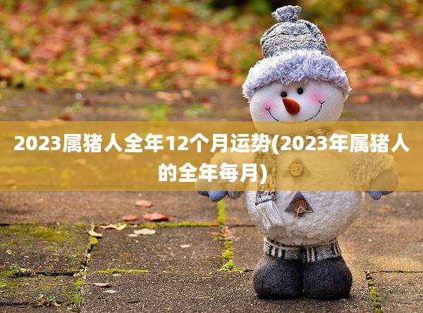 2023属猪人全年12个月运势(2023年属猪人的全年每月)