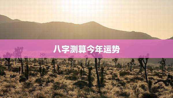 八字测算今年运势