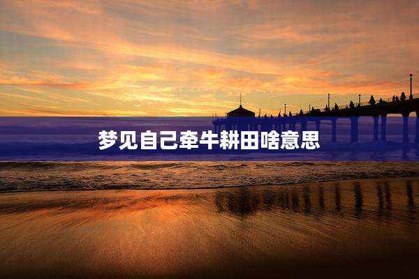 梦见自己牵牛耕田啥意思