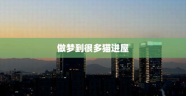 做梦到很多猫进屋