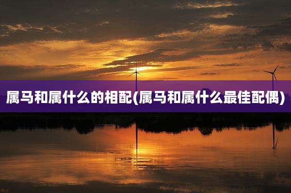 属马和属什么的相配(属马和属什么最佳配偶)