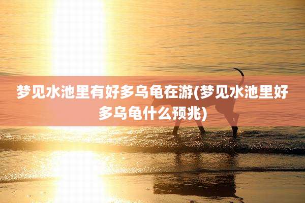 梦见水池里有好多乌龟在游(梦见水池里好多乌龟什么预兆)