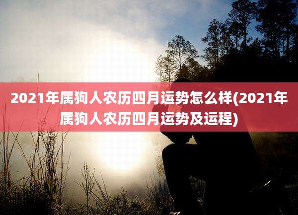 2021年属狗人农历四月运势怎么样(2021年属狗人农历四月运势及运程)