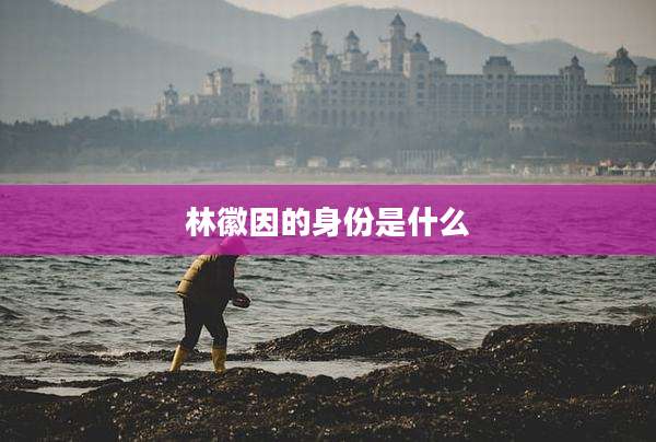 林徽因的身份是什么