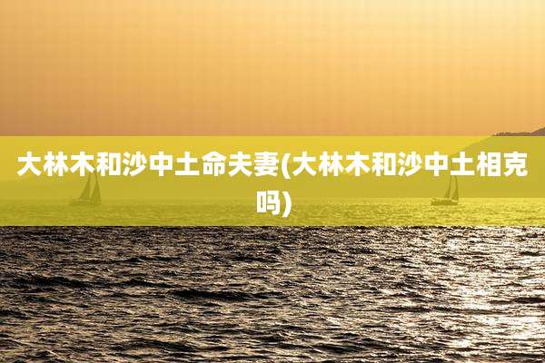 大林木和沙中土命夫妻(大林木和沙中土相克吗)