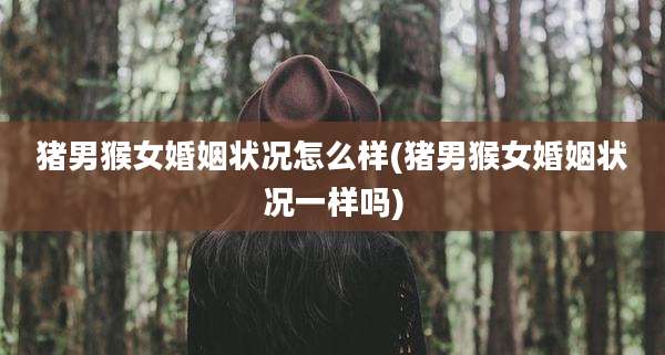 猪男猴女婚姻状况怎么样(猪男猴女婚姻状况一样吗)