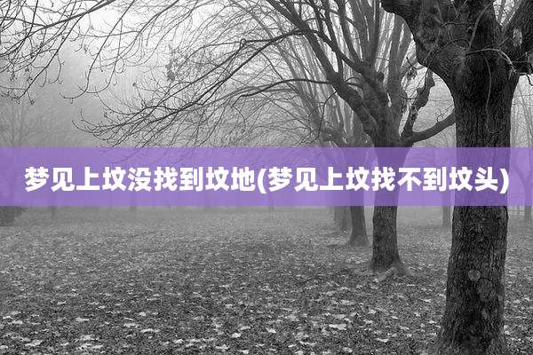 梦见上坟没找到坟地(梦见上坟找不到坟头)