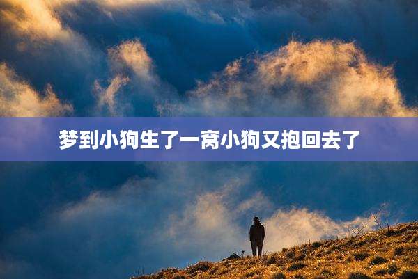 梦到小狗生了一窝小狗又抱回去了