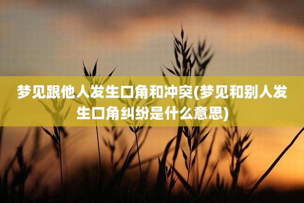梦见跟他人发生口角和冲突(梦见和别人发生口角纠纷是什么意思)