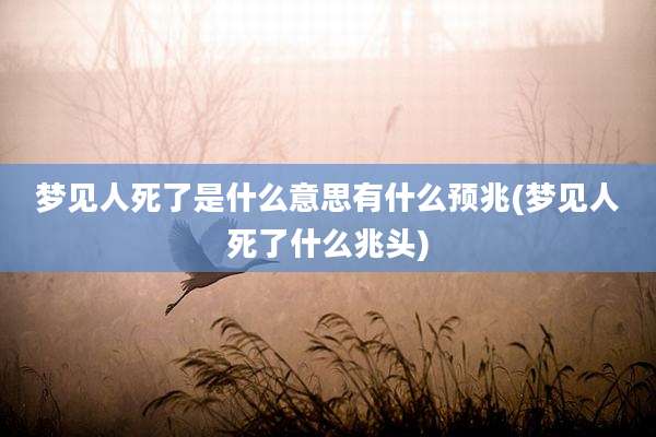 梦见人死了是什么意思有什么预兆(梦见人死了什么兆头)