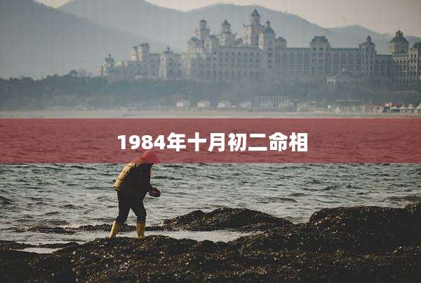 1984年十月初二命相