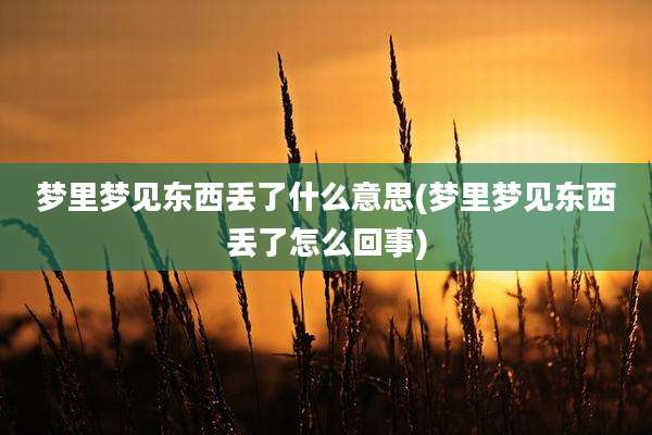 梦里梦见东西丢了什么意思(梦里梦见东西丢了怎么回事)