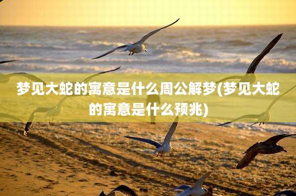 梦见大蛇的寓意是什么周公解梦(梦见大蛇的寓意是什么预兆)
