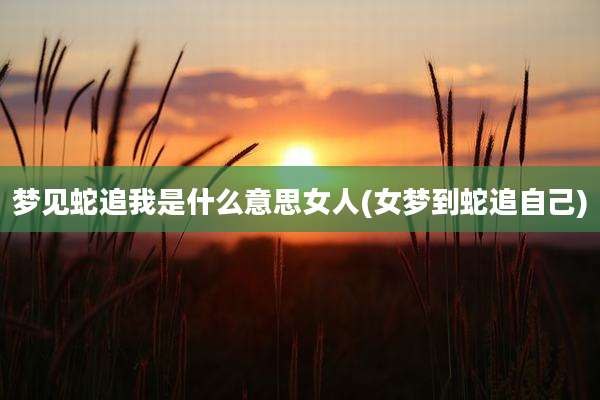 梦见蛇追我是什么意思女人(女梦到蛇追自己)