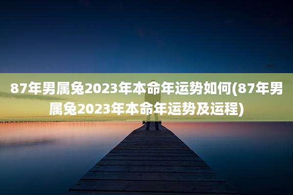87年男属兔2023年本命年运势如何(87年男属兔2023年本命年运势及运程)