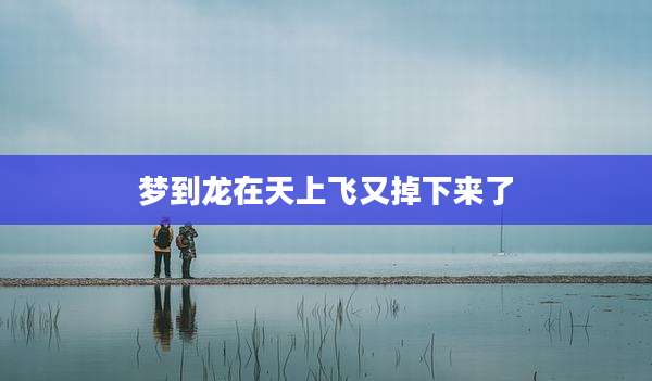 梦到龙在天上飞又掉下来了
